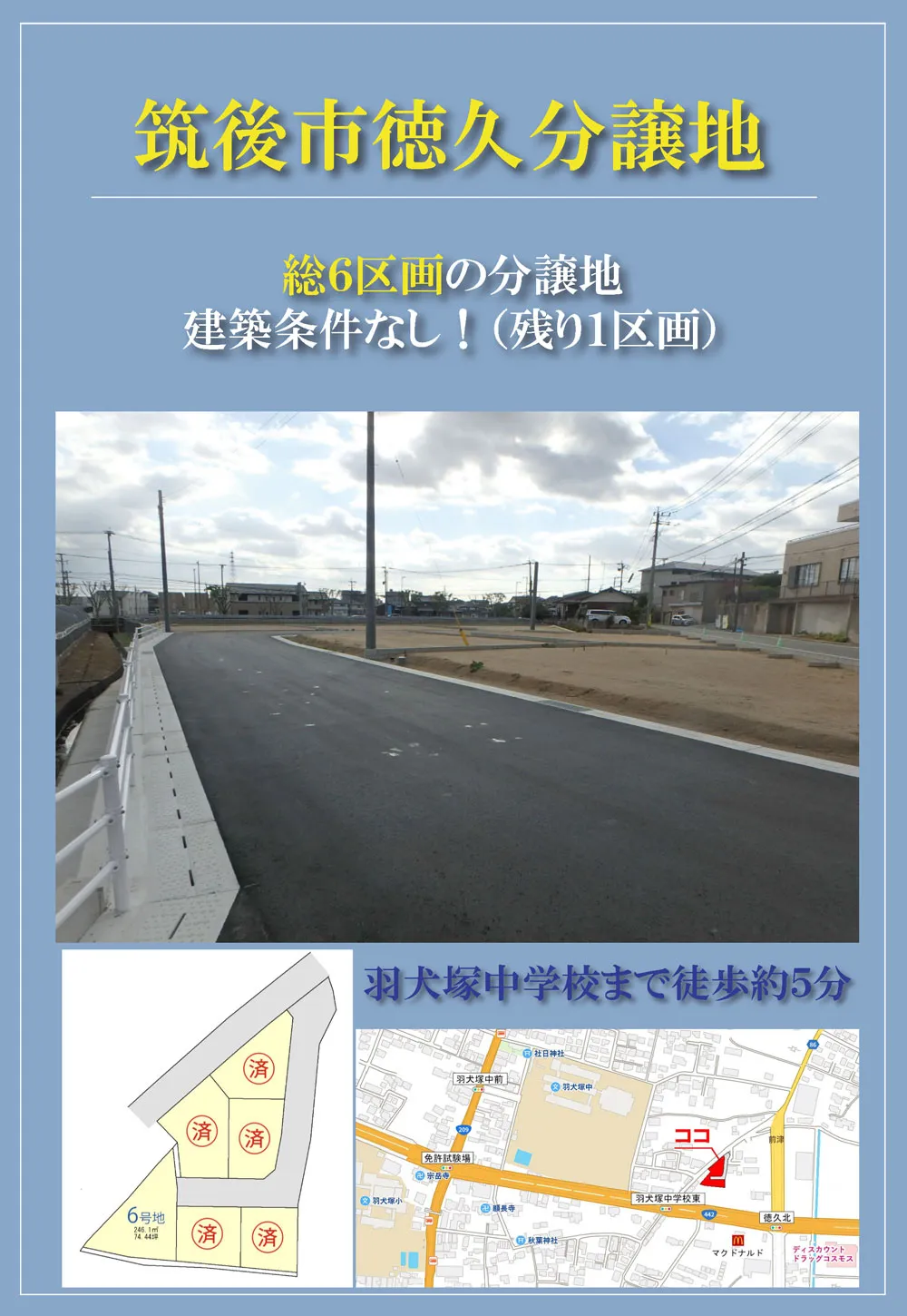 スライド画像 5