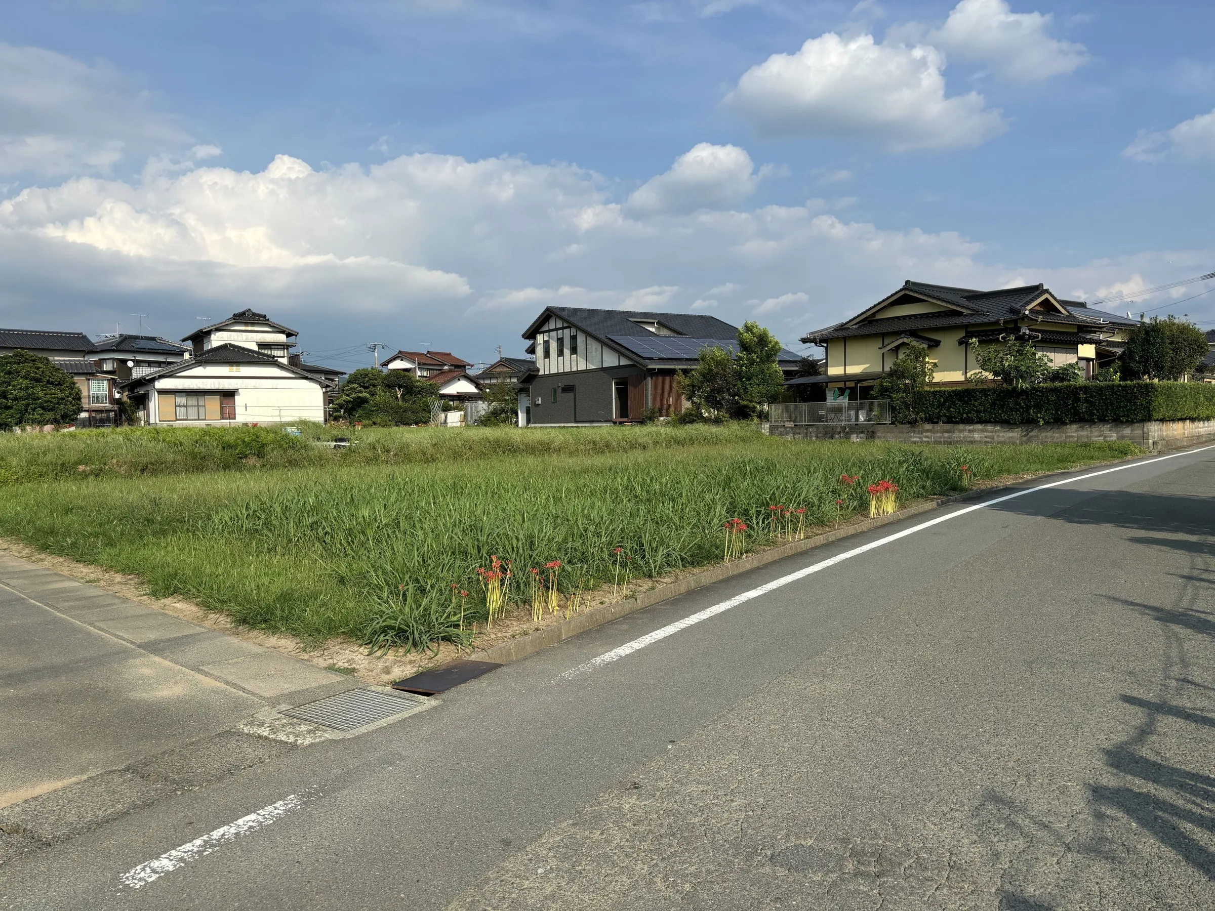 売地