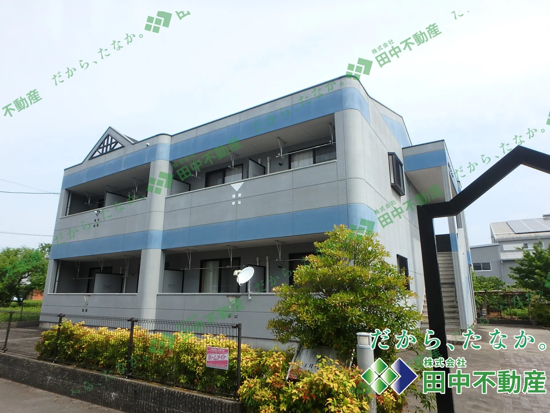 エル・シャトー203