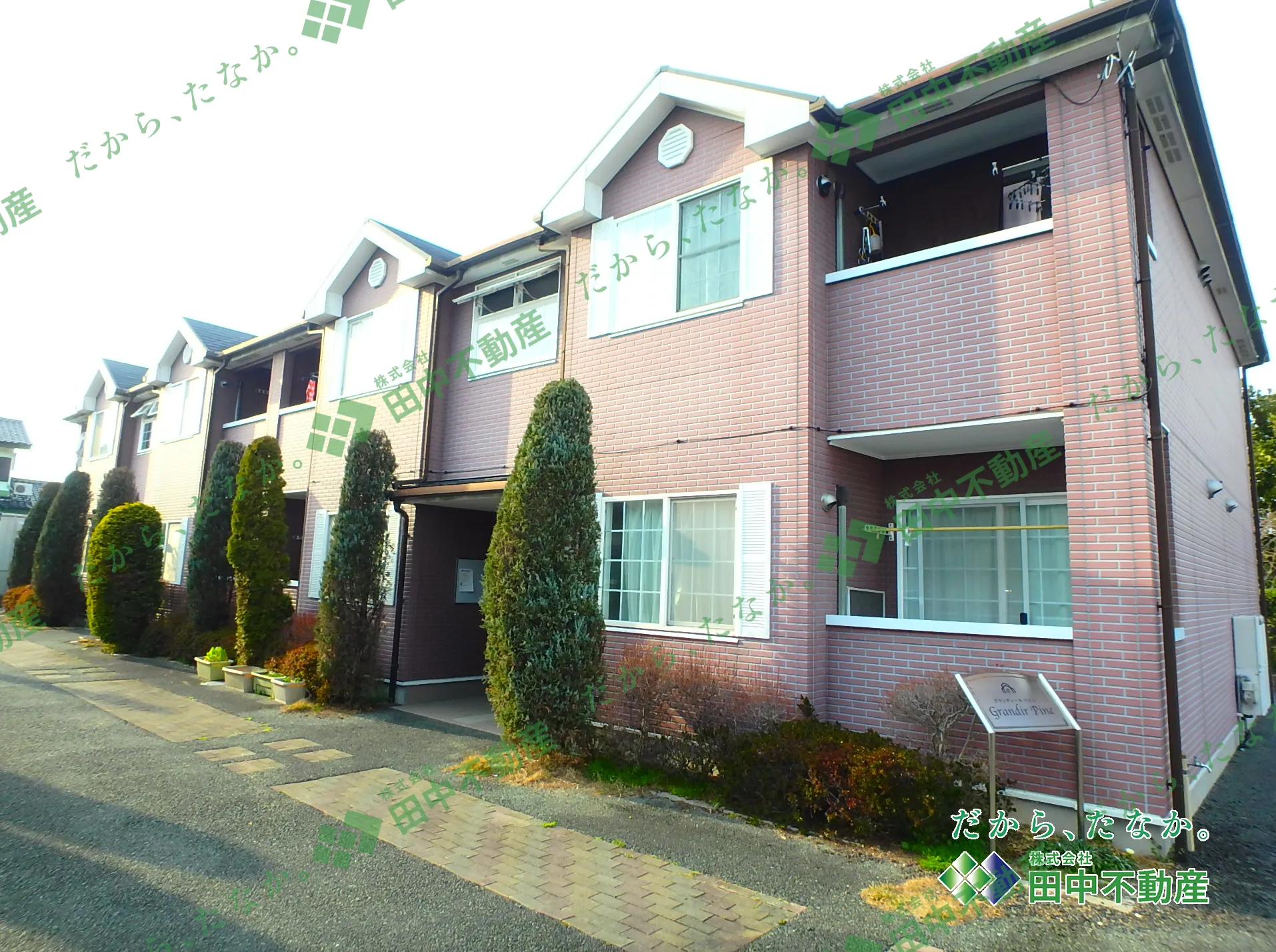 グランディール　パイン203