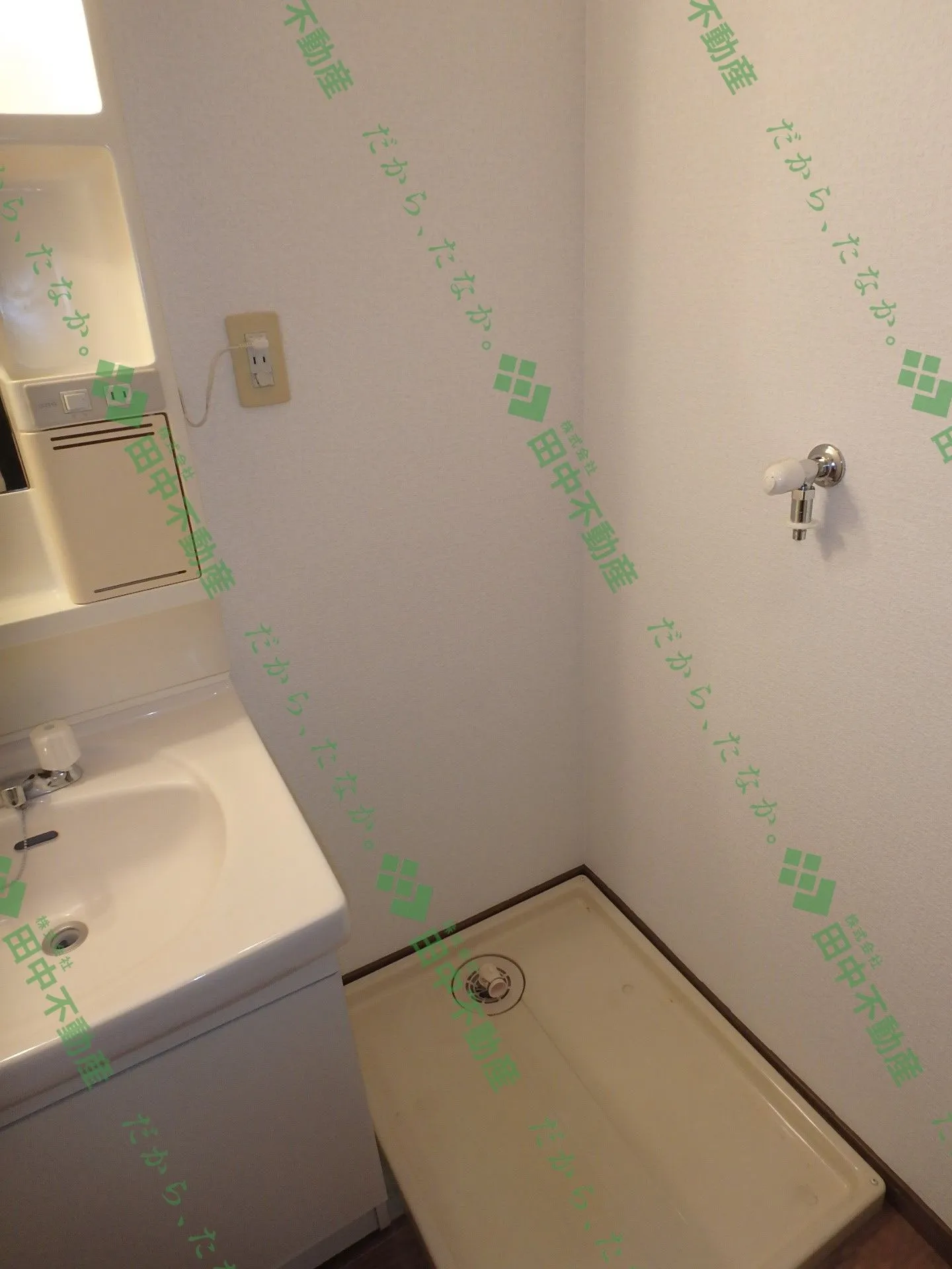 スワーム新代 - 画像9