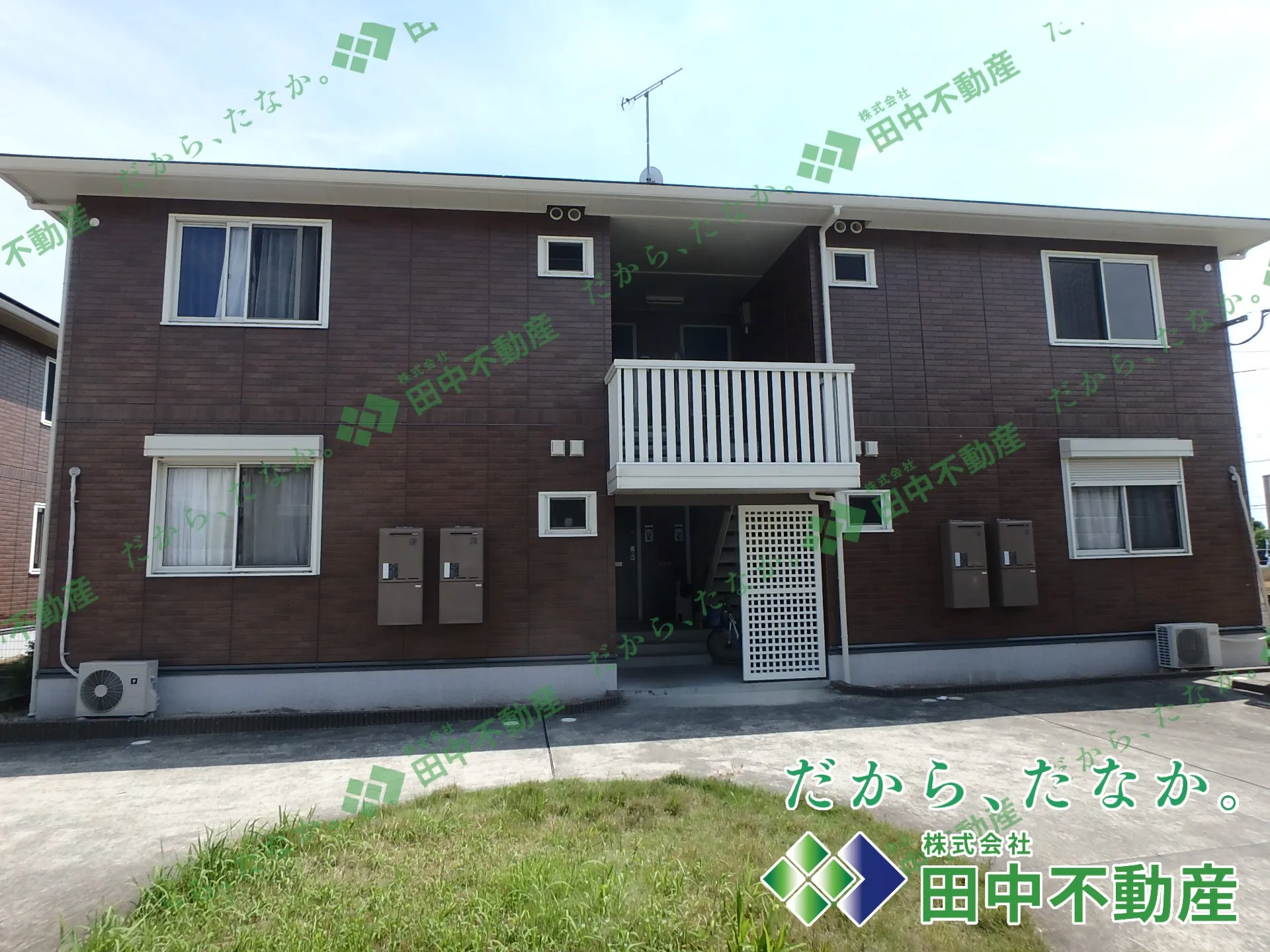 アルシオネB棟105