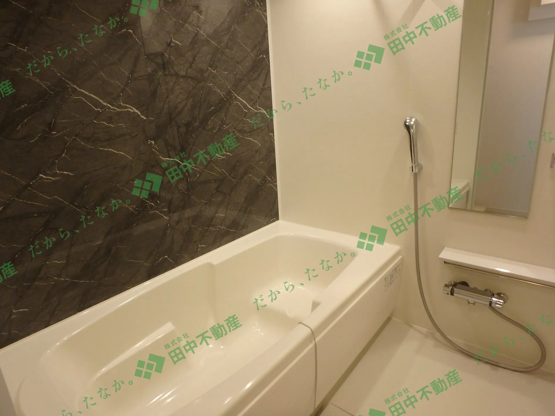 ベルコロレⅧA102 - 画像8