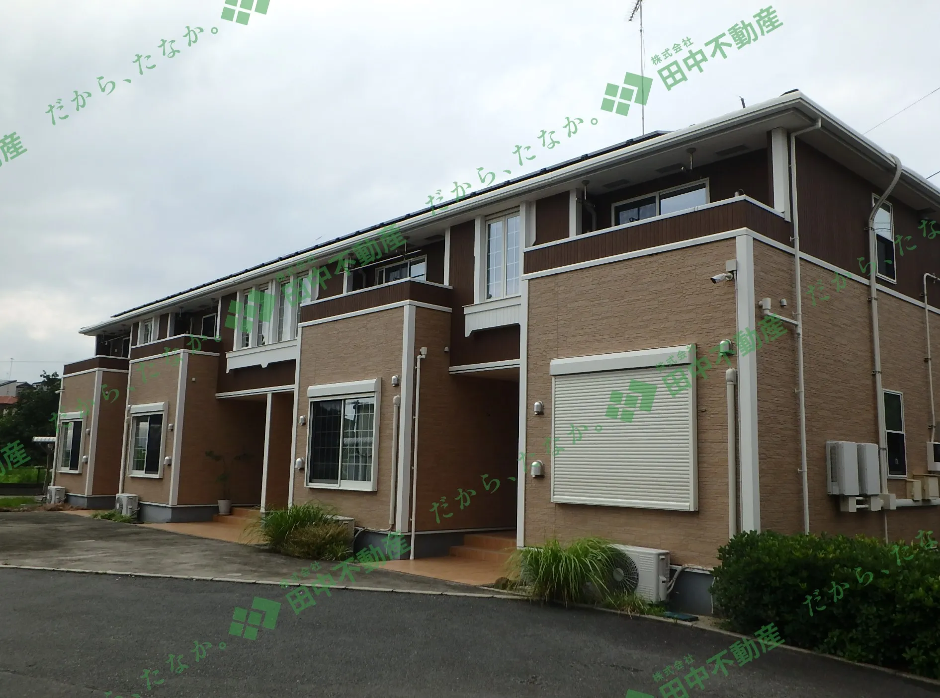 カーズB101