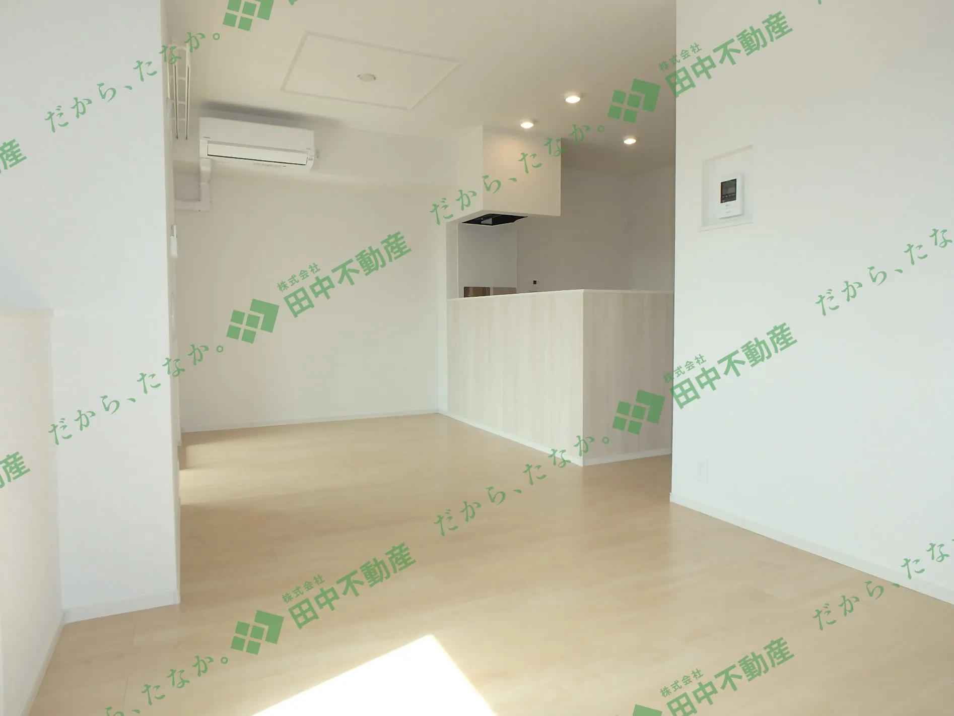 フローリッシュB102 - 画像3