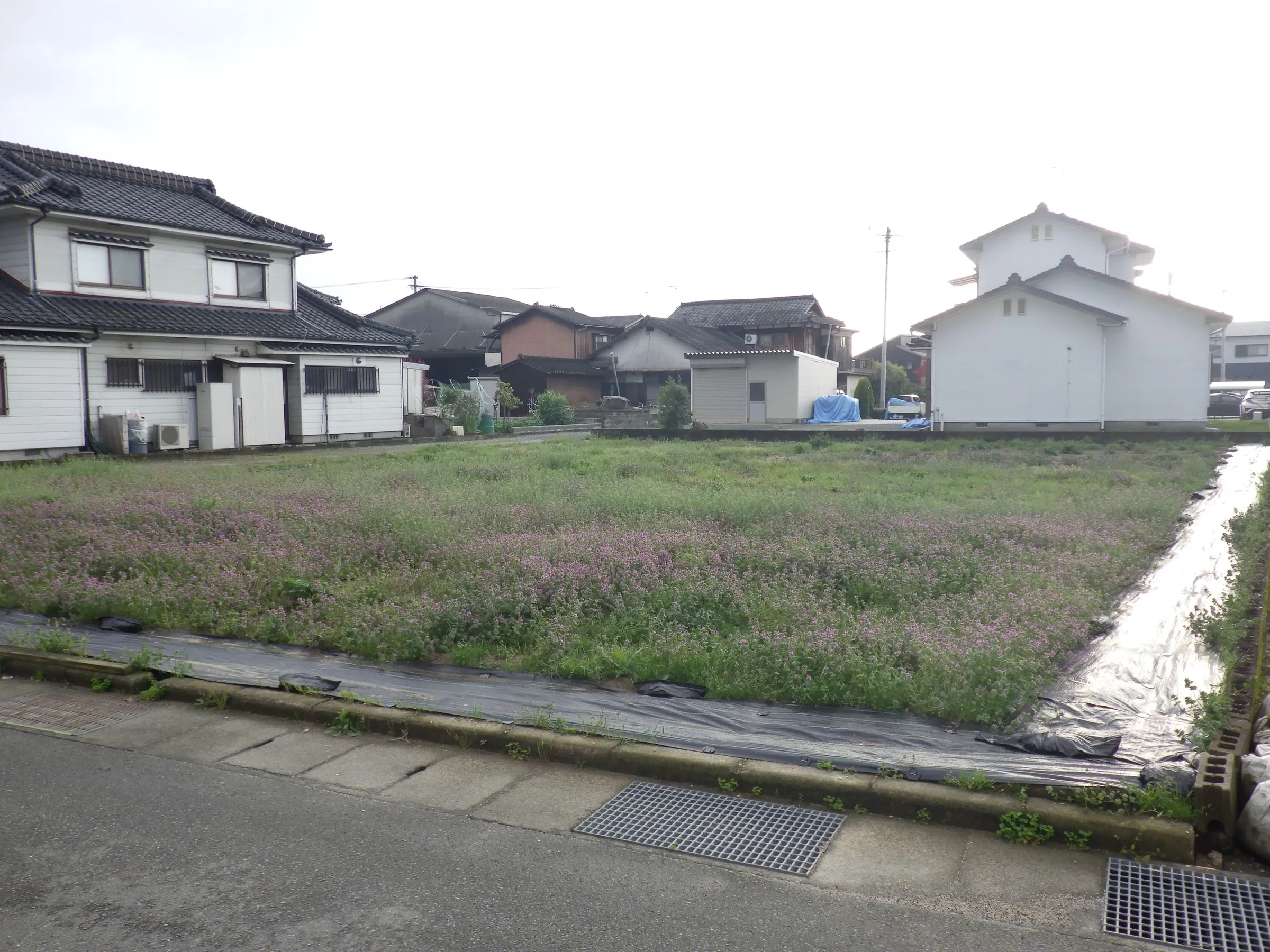 売地