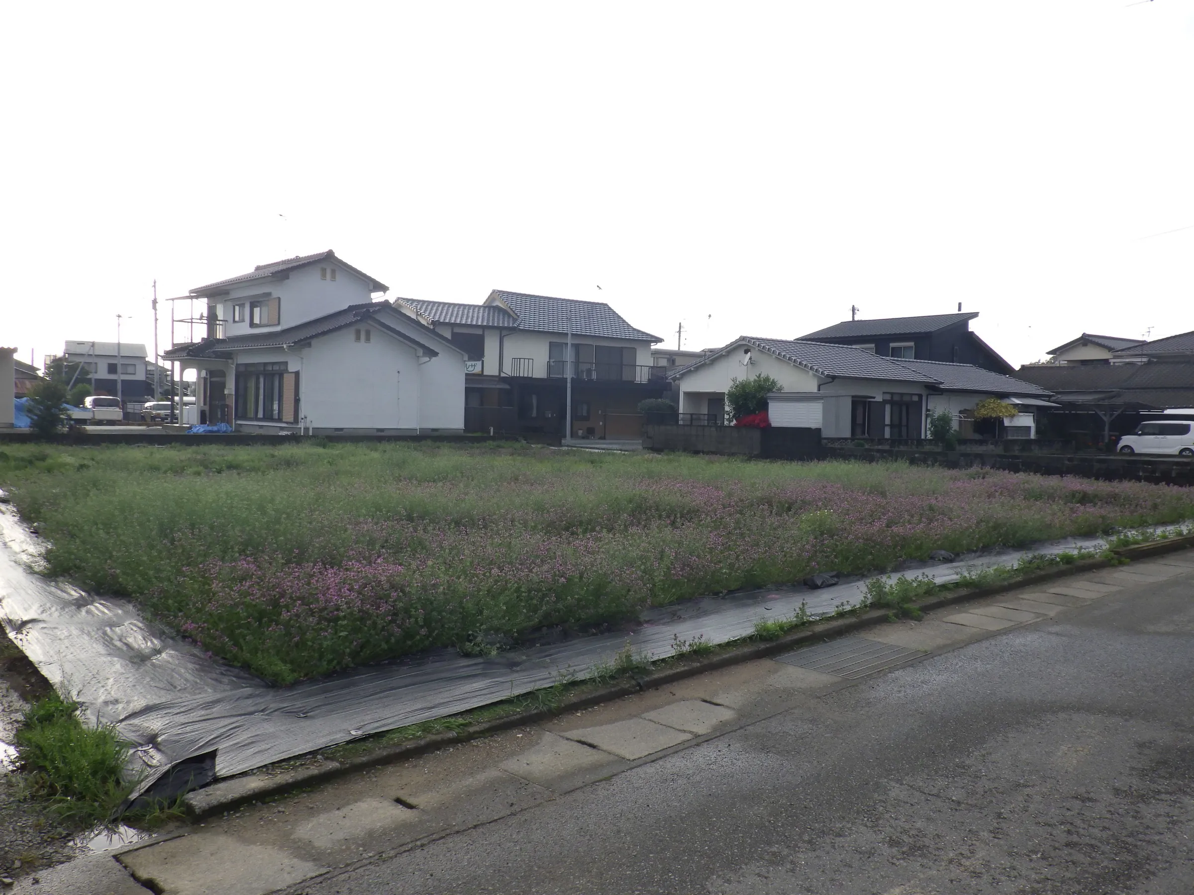 売地 - 画像3