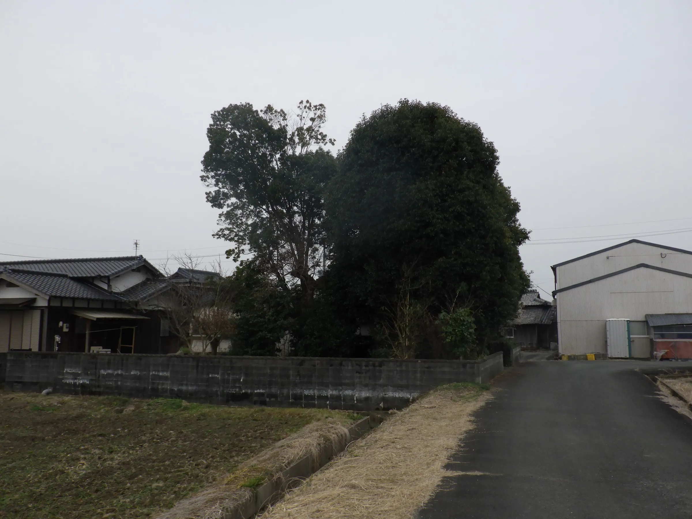 売地 - 画像5