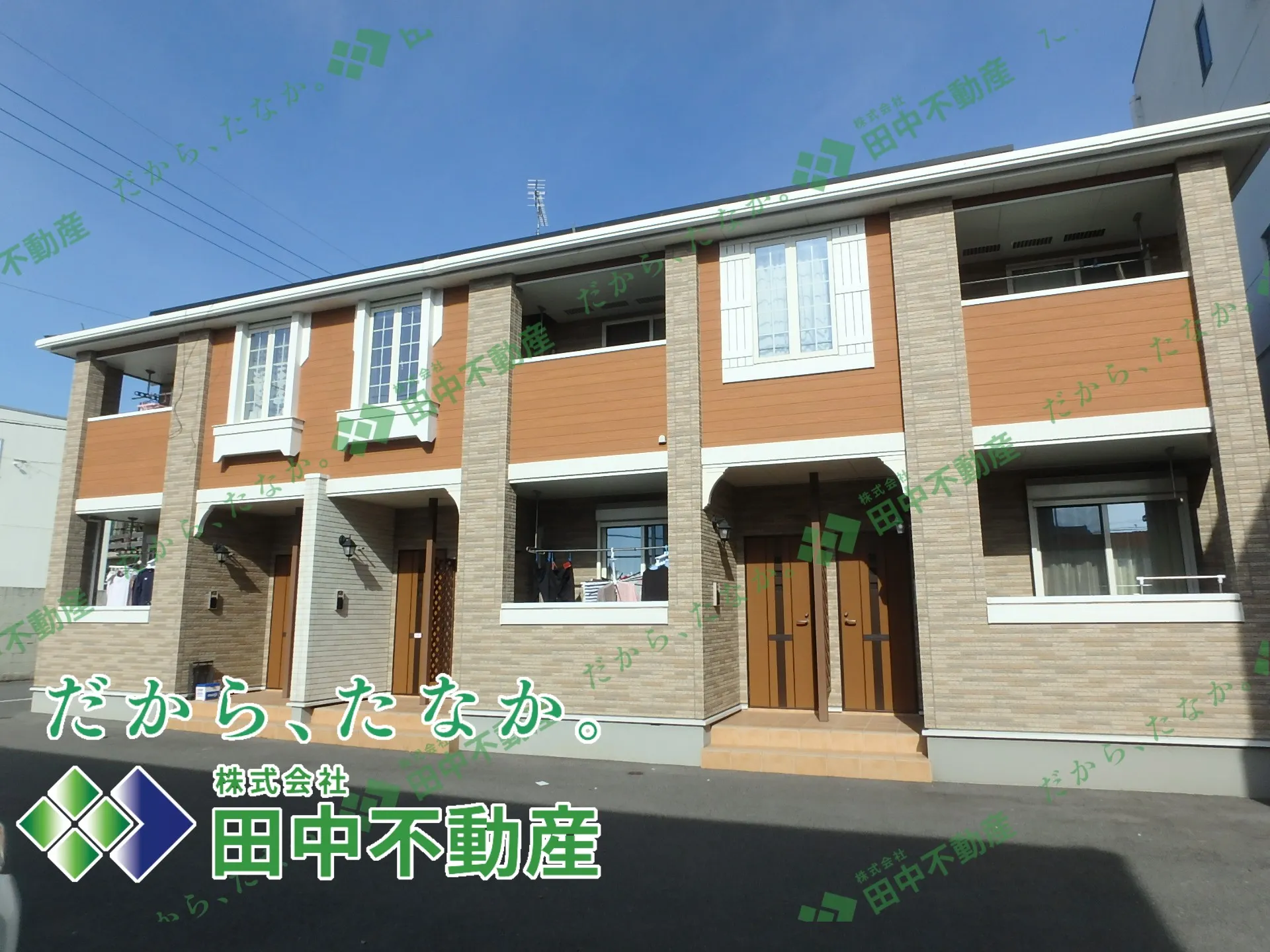 サンライズ錦A201