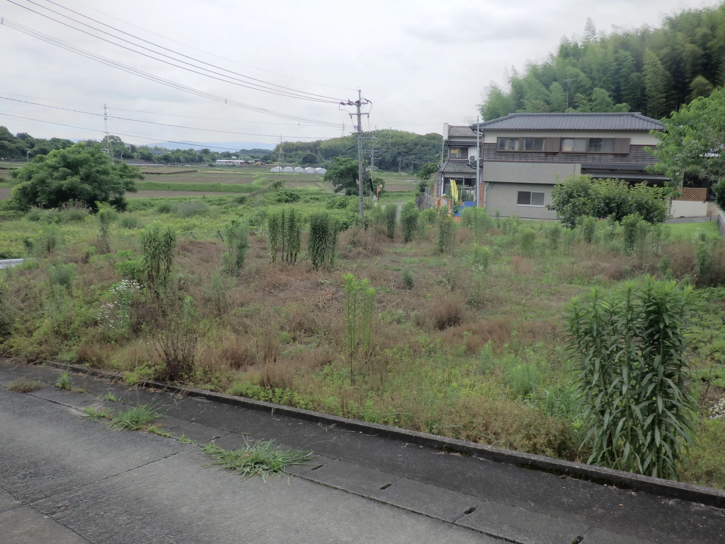 売地