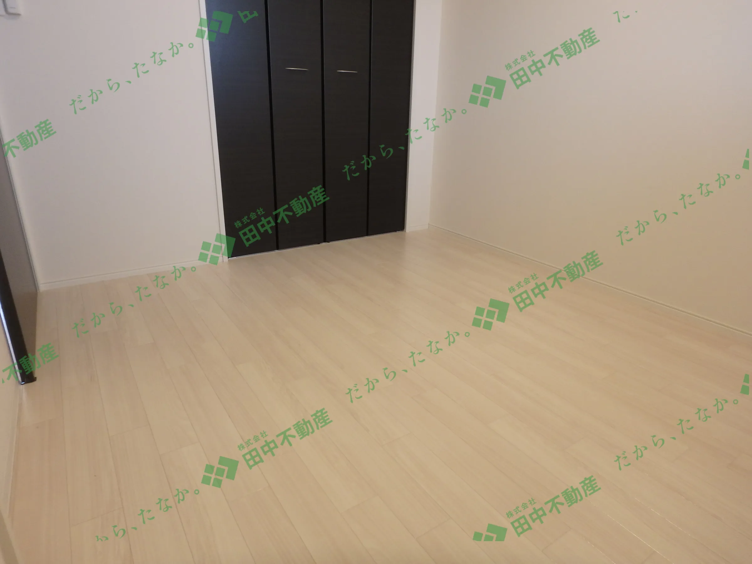 sun fit208 - 画像4