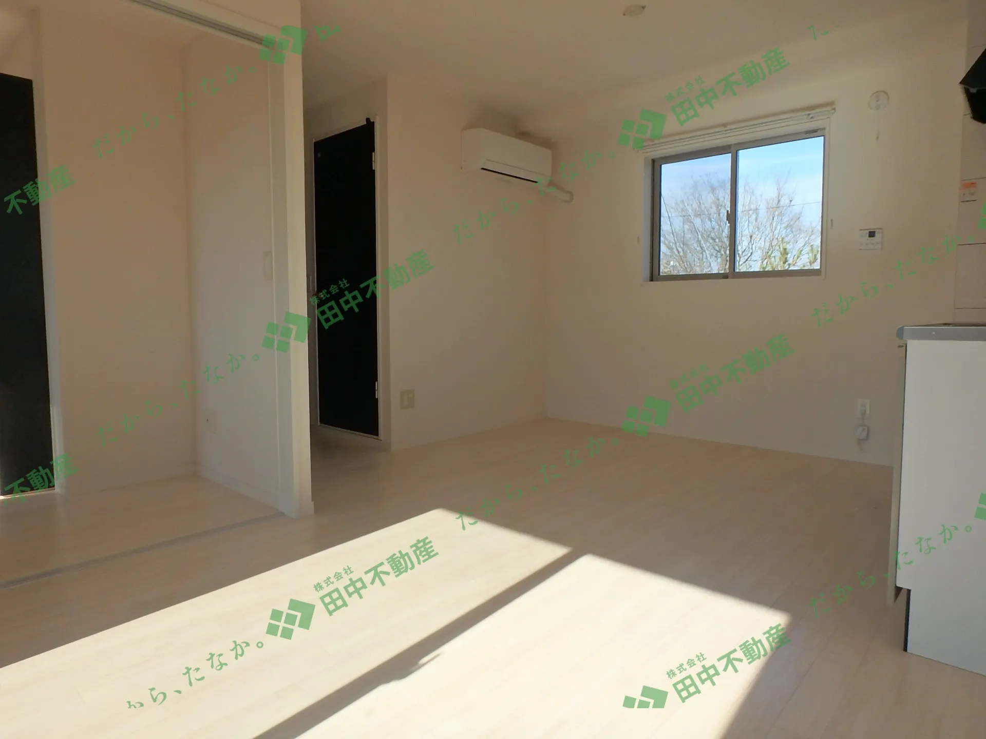 sun fitⅡ105 - 画像4
