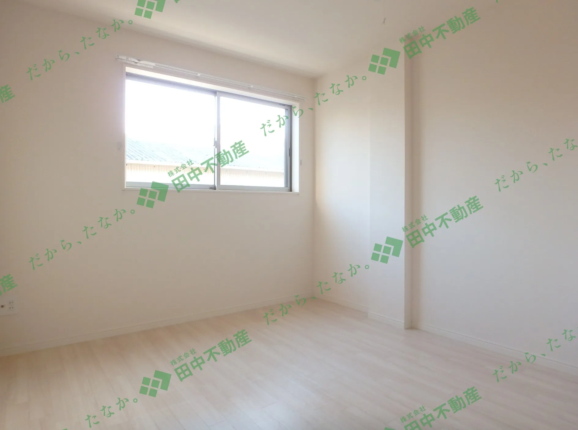 sun fitⅡ202 - 画像6