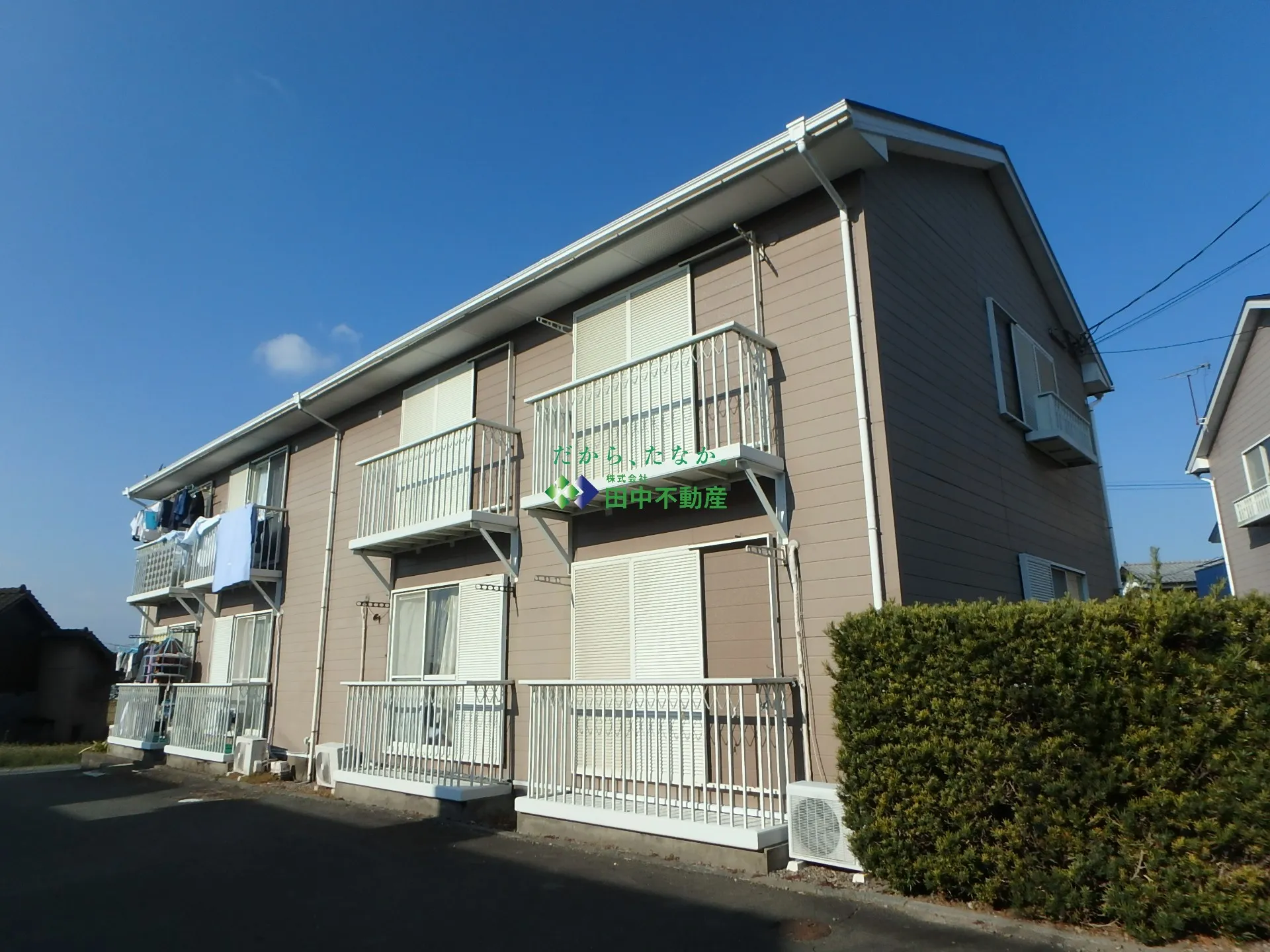 メゾンラフォーレ C102