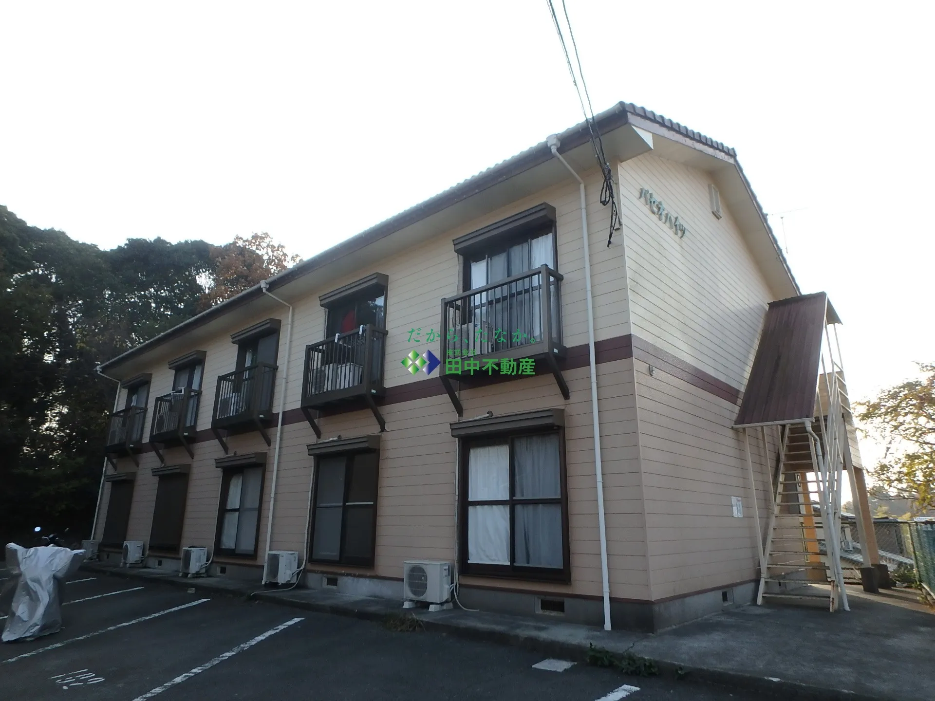 パセオハイツ 203