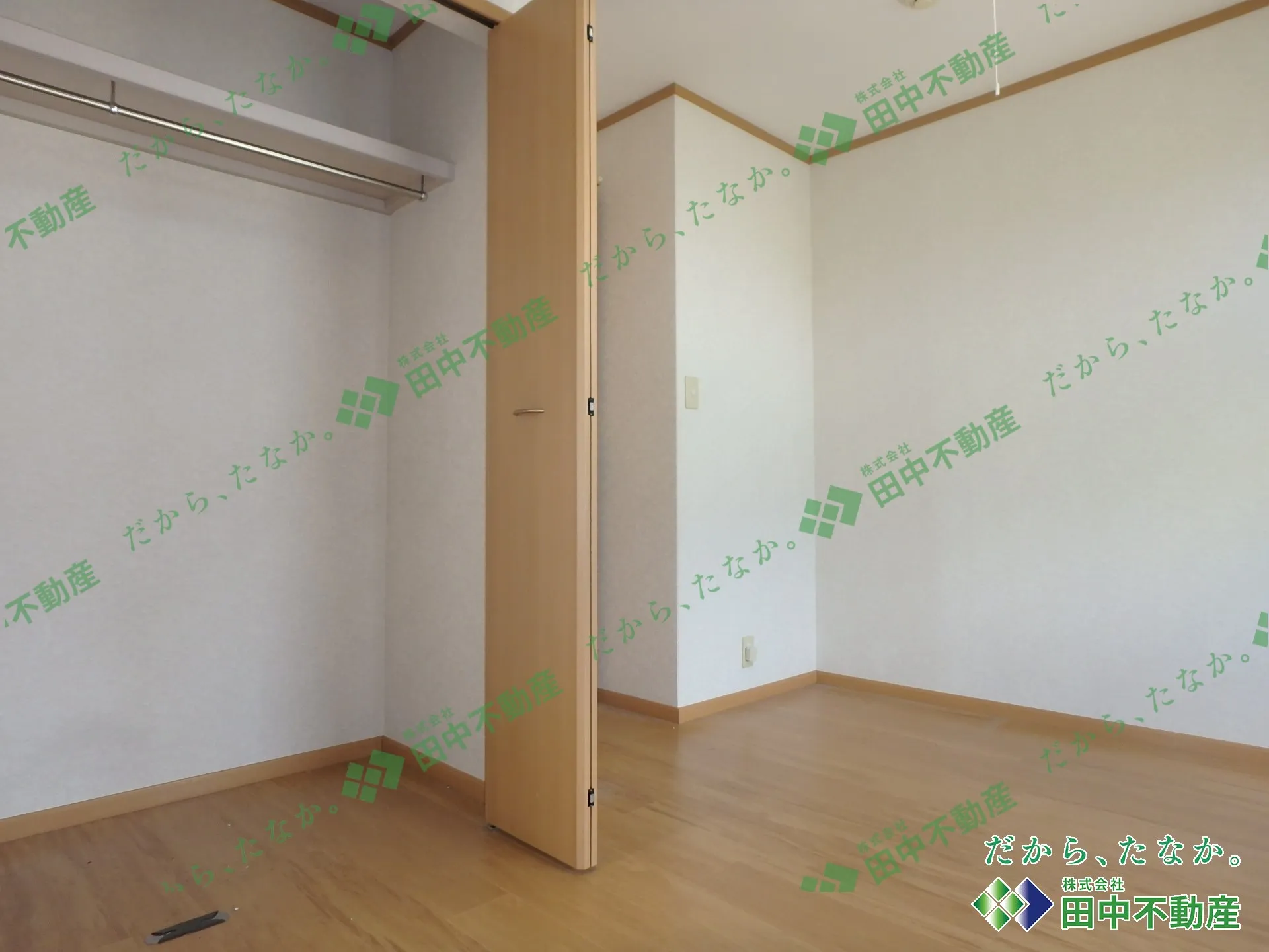 プロスペールDPB202 - 画像4